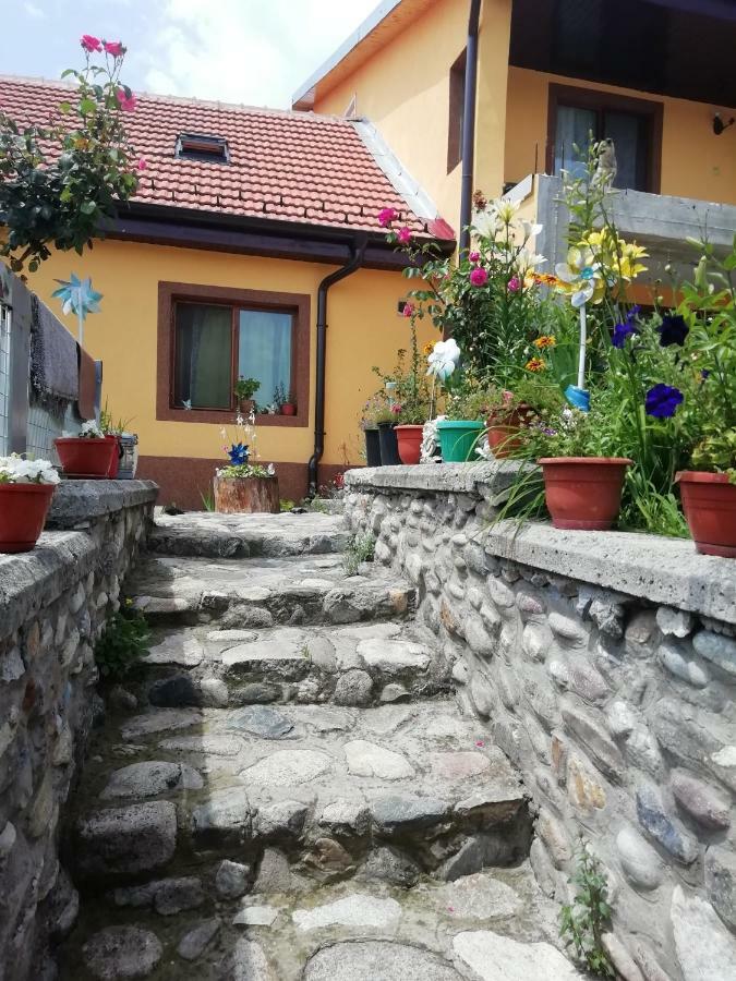 Casa Darius Apartment Orsova Luaran gambar