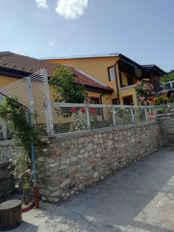 Casa Darius Apartment Orsova Luaran gambar